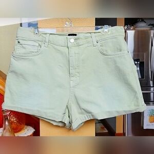 NWT Urban Outfitters BDG Tapped Mom shorts in pistachio size 31.